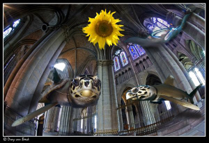 Holy turtle... by Dray Van Beeck 